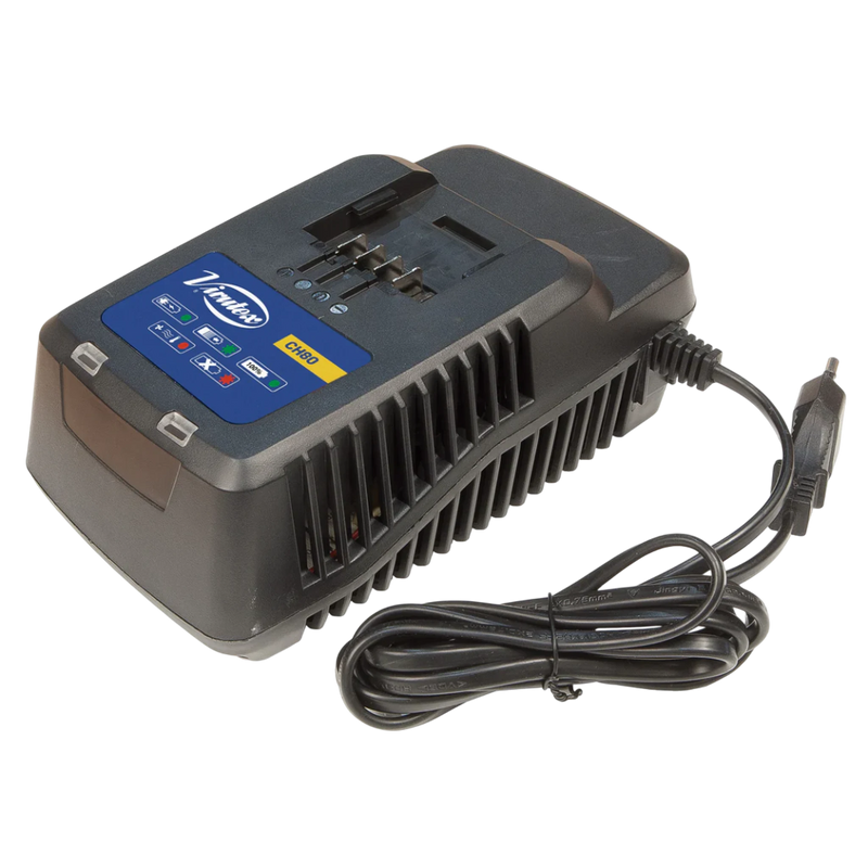 Virutex CH80 Charger For Batteries BT202 And BT204 4068658 – front
